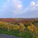 Apartma Med Vinogradi 아파트 *
