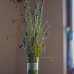 Apartma Med Vinogradi * 류토메르