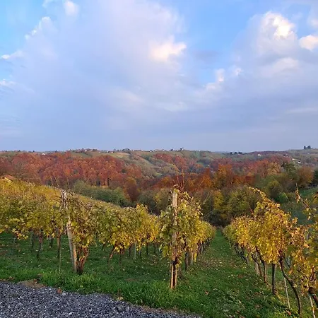 Apartma Med Vinogradi Daire *