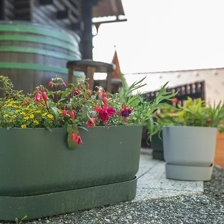 Appartamento Apartma Med Vinogradi Ljutomer