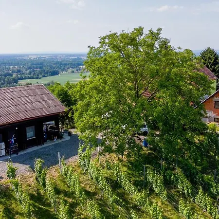Appartamento Apartma Med Vinogradi Ljutomer