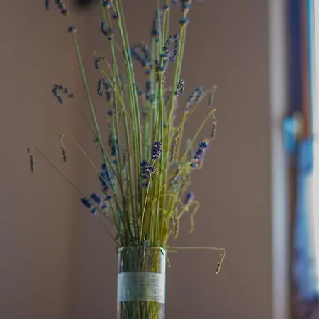 Apartma Med Vinogradi * ליוטומר