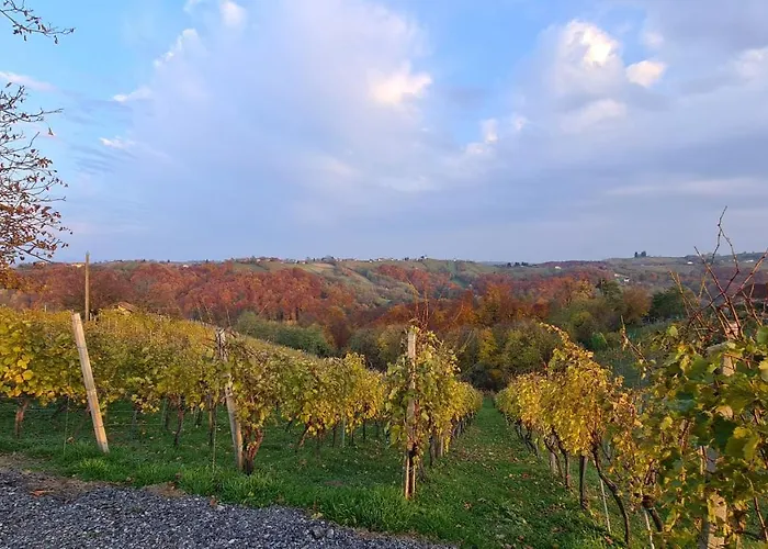 Apartma Med Vinogradi Appartamento *