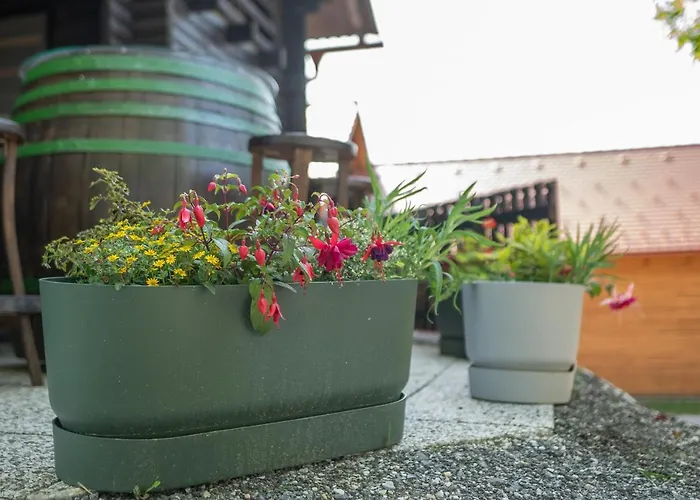 Appartamento Apartma Med Vinogradi Ljutomer