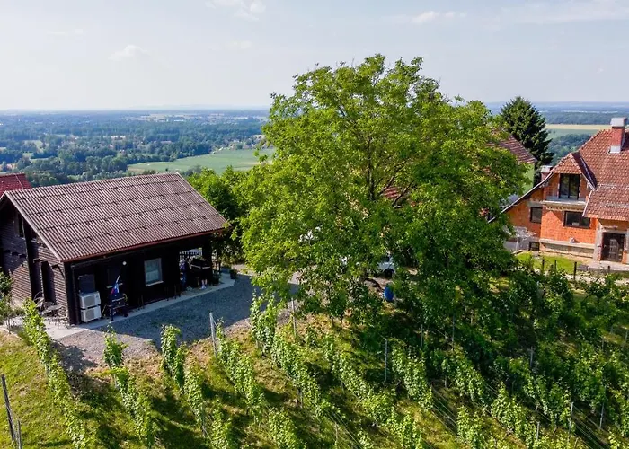 Appartement Apartma Med Vinogradi Ljutomer