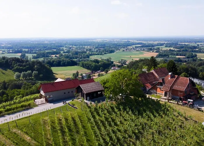 Apartma Med Vinogradi *