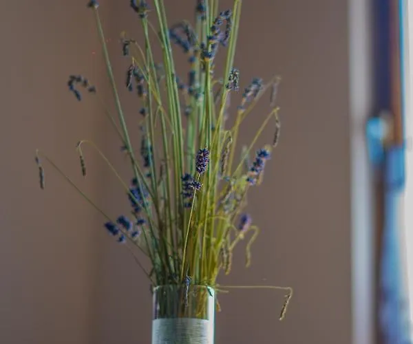 Apartma Med Vinogradi * Ljutomer